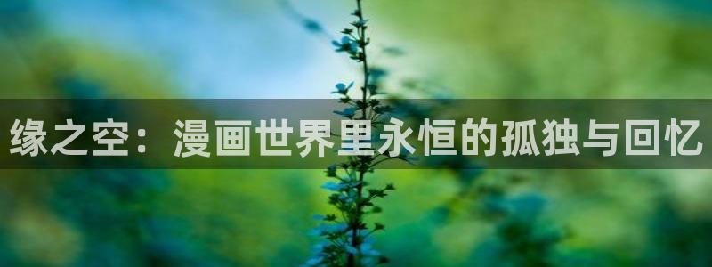 歪歪漫画连载：缘之空：漫画世界里永恒的孤独与回忆